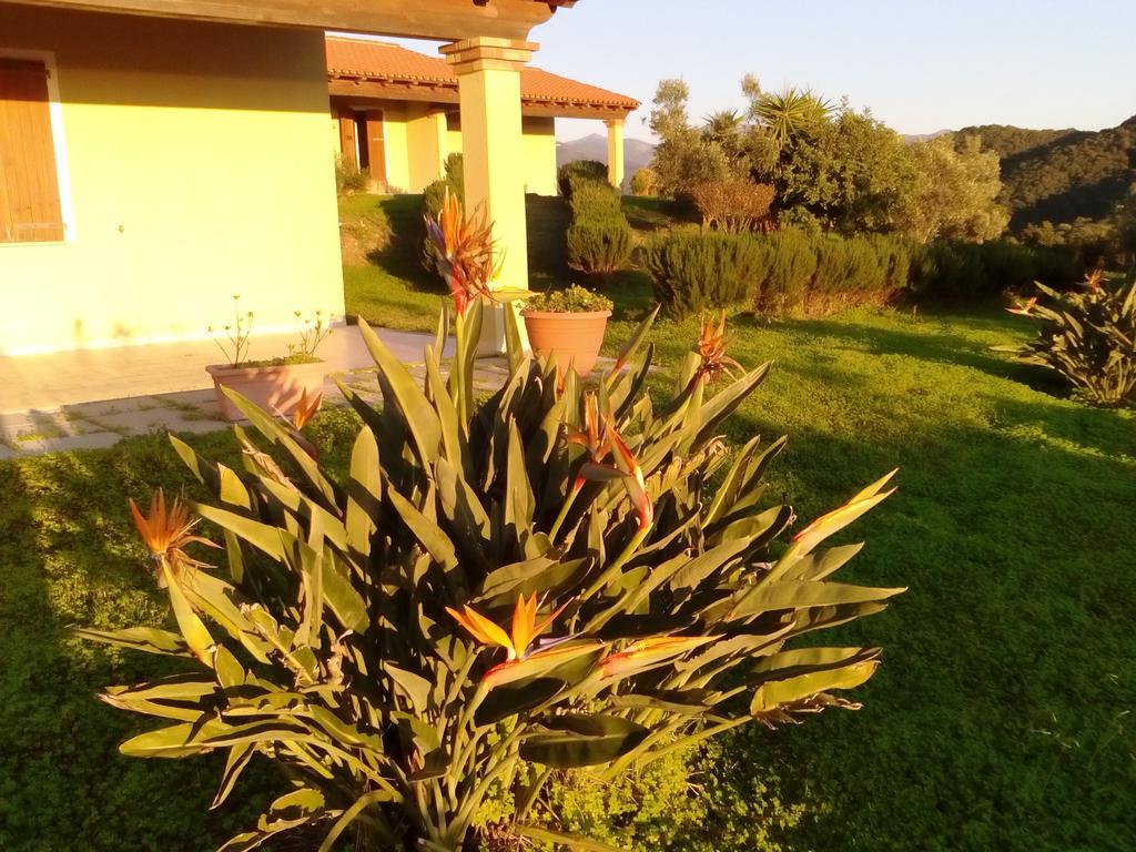 Majori Villa ฟลูมินิมัจจอเร ภายนอก รูปภาพ